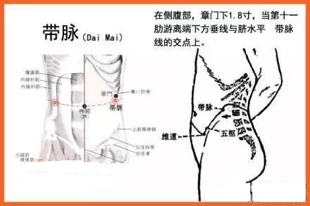 带脉总束全身脉络,按摩它可以起到滋润内脏的功效,而且能够温养与